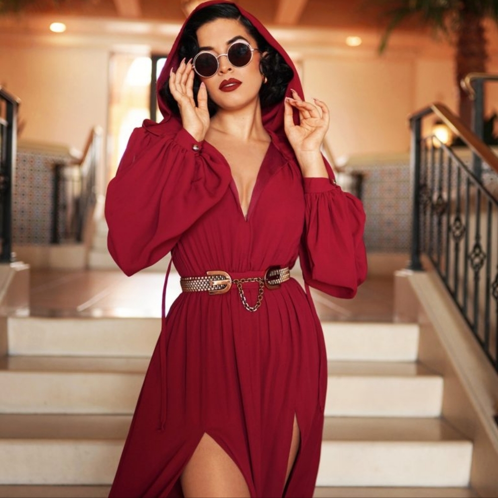 Phaedra Dress in Oxblood - Picture 5 of 5